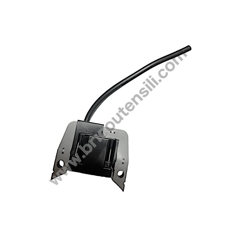 Ricambi Hitachi per Motosega da Potatura Hitachi CS25EC-SC