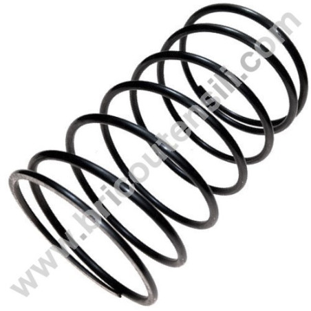 Molla (B) per Martello Demolitore Hitachi H45MRY