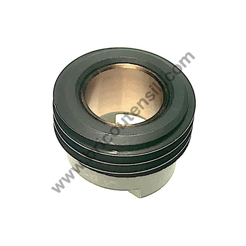 Vite Senza Fine Pompa Olio per Motosega Tanaka ECV-3801