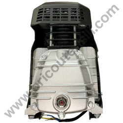 Gruppo Pompante per Compressore Coassiale Monofase da 25/50 Lt