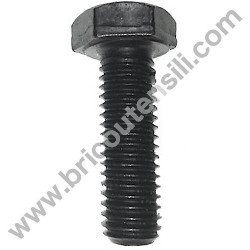 Disk locking Left Thread Screw for Mitre Saw Stayer SC251W