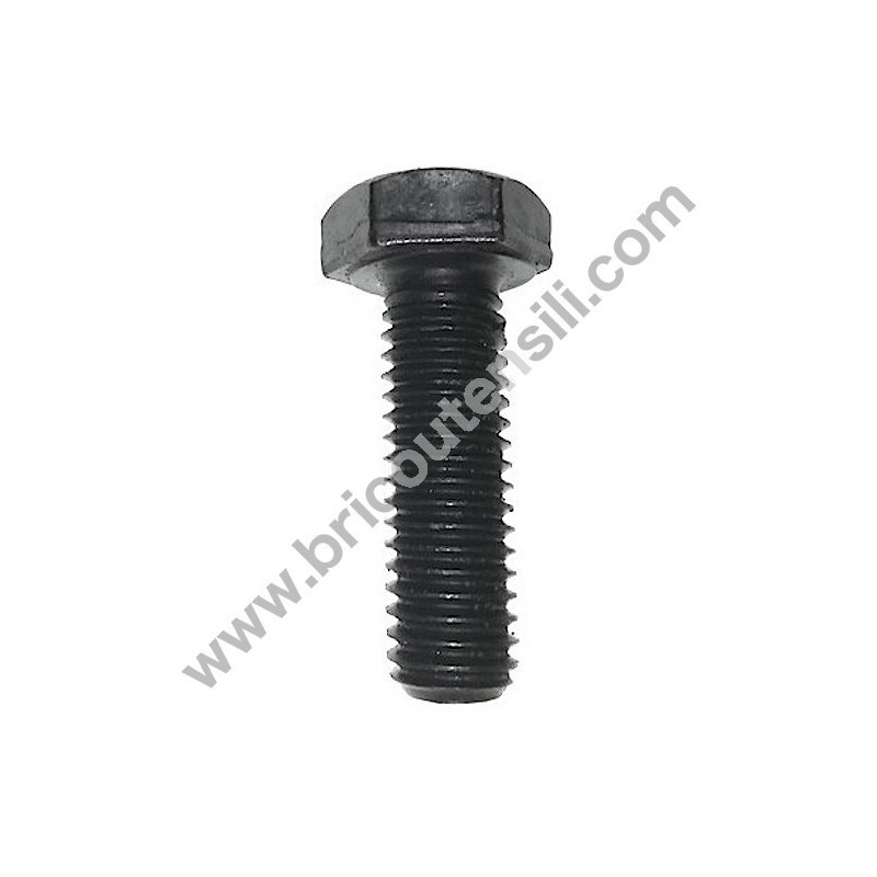 Disk locking Left Thread Screw for Mitre Saw Stayer SC251W
