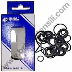 Kit Inlet-Outlet Valves for Pressure Washers Black & Decker PW 1800 W