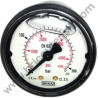 Gauge for Pressure Washers Annovi & Reverberi AR 820-830-840-850