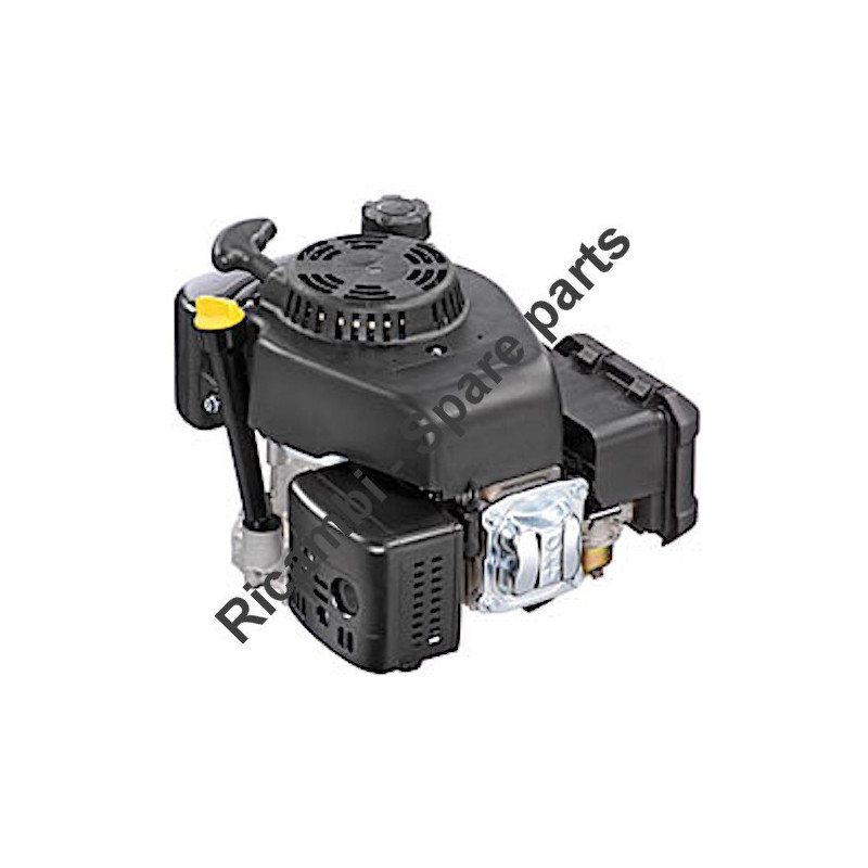 Ricambi Stiga per Motore SV150 2006 118550034/0