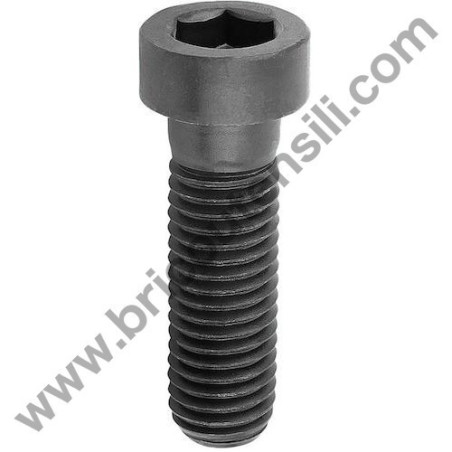 Troncatrice Compa Silver 250