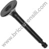 Inlet Valve for Engine AMA MVG T375 - T475