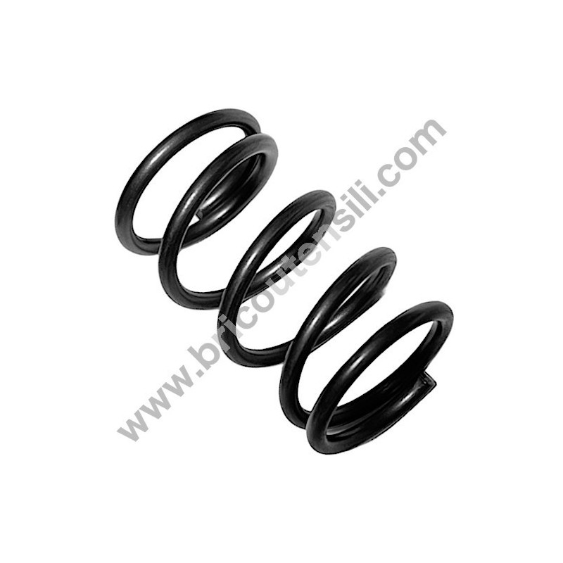 Piston Recall Spring for Pressure Washers Lavor NPX 1400 - NPX 1500