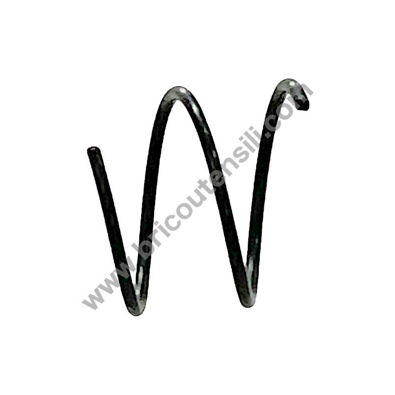 Molla Pignone per Elettrosega Alpina C 1.8 E