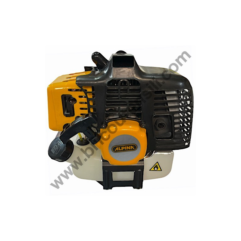 Motore Completo per Decespugliatore Alpina TB 320