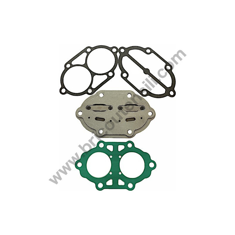 Valves Plate for Pump Unit FIAC AB 360