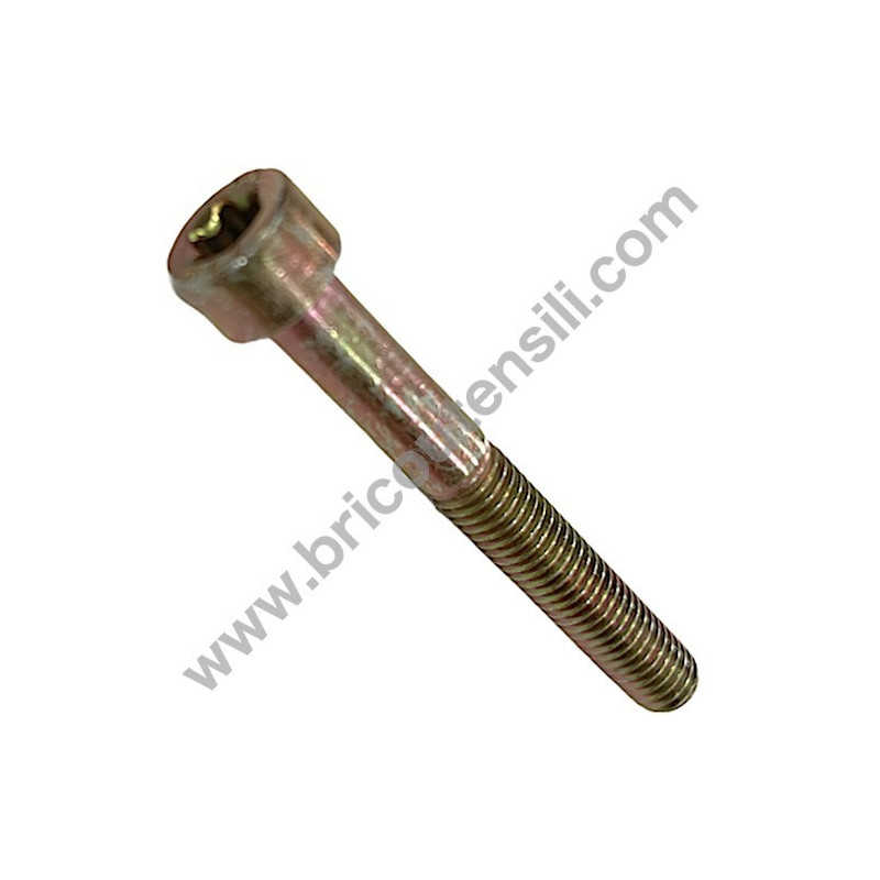 Screw TX M5x40 for Brushcutter Alpina B 26 J