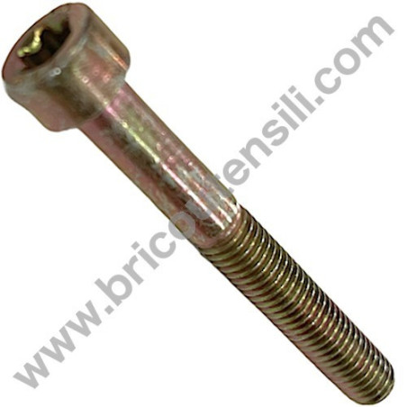 Vite Torx M5x40 per Decespugliatore Alpina B 26 J