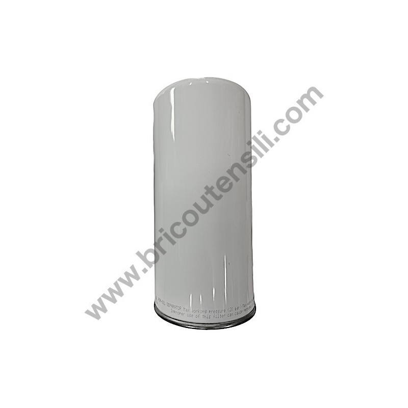 Filtro Disoleatore per Compressore Rotativo a Vite FIAC CRS 15-20