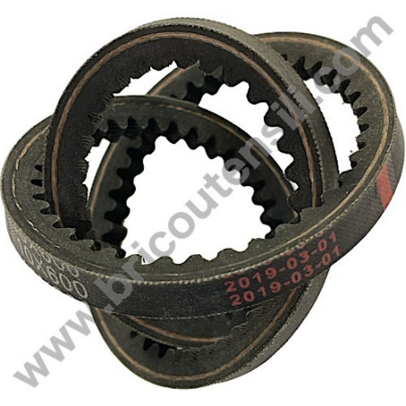 Interruttore per Miscelatore Einhell BMFR 1300