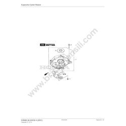 Ricambi Alpina per Motosega A 305