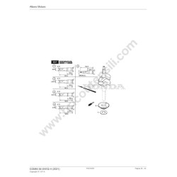 Ricambi Alpina per Motosega A 305