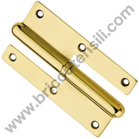 Cerniera Paumelles in Ottone 100/55 Sx