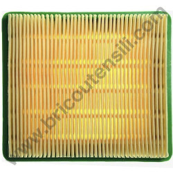 Air Filter for Self-Propelled Lawnmower Valex TST4635