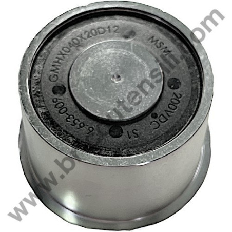 Magnete per Aspiratore Flex S 47