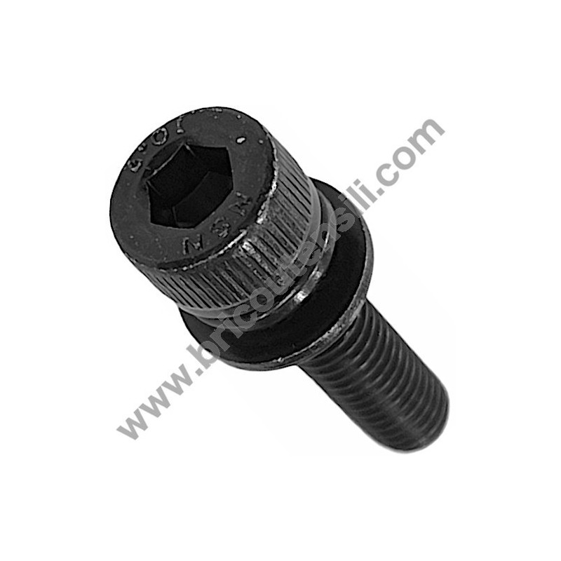 Intake Manifold Screw M4X14 for Chainsaw Makita DCS230T