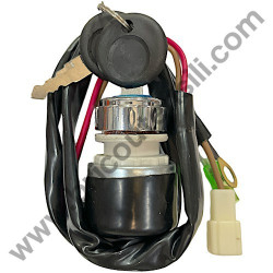 Innesto Punta per Hammer 70100 SDS-MAX