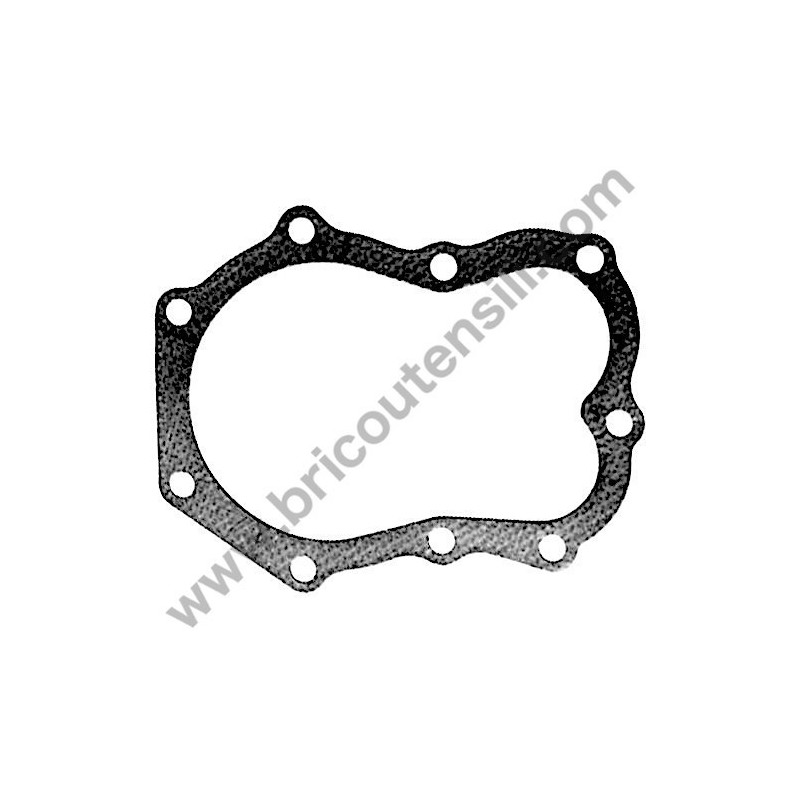 Ricambi Briggs & Stratton per Motore Serie 450