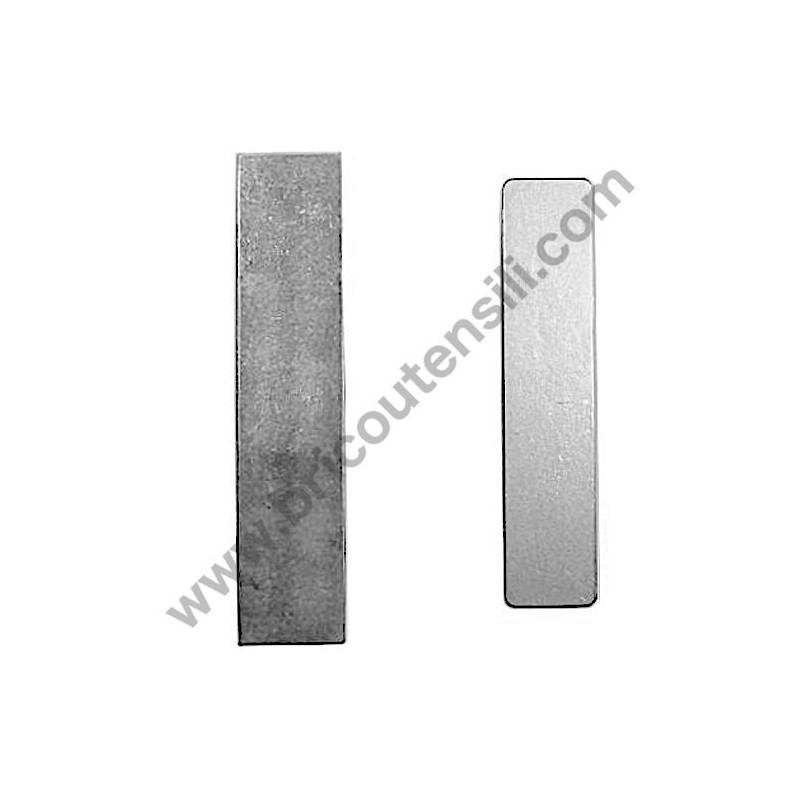 Pistone per Gruppo Pompante Fiac AB 248-338-360