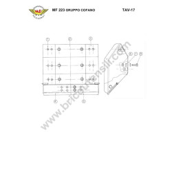 Ricambi Alpina per Motosega A 305