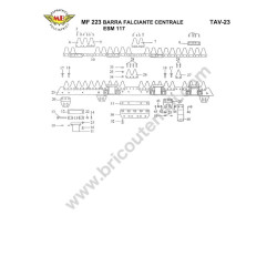 Meccanica Benassi Parts for Motocultivator MF 223 Reverso