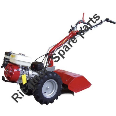 Ricambi Alpina per Motosega A 305