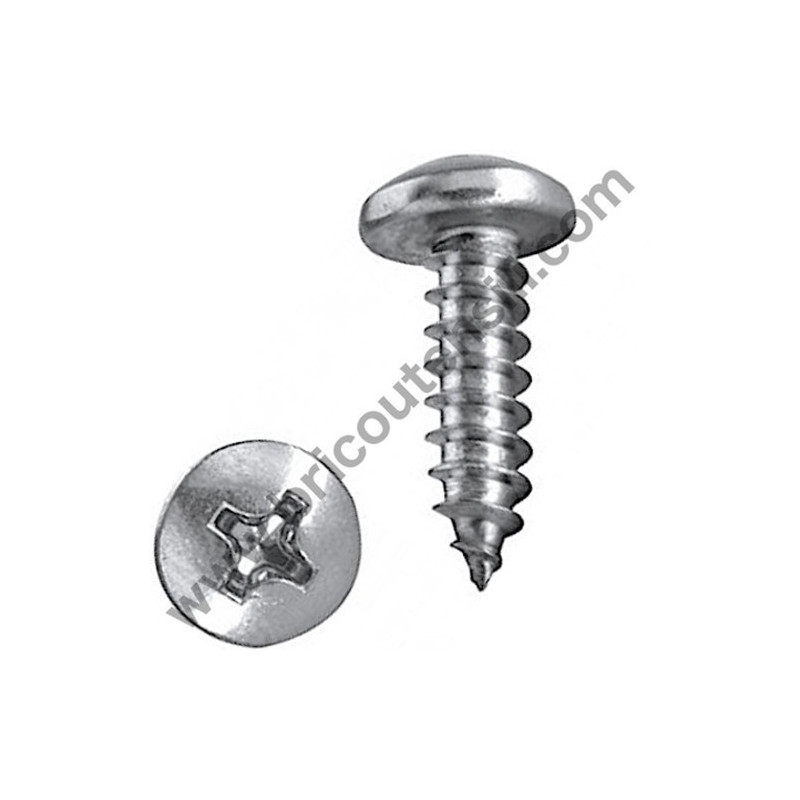 Self-Thread Screw 4x10 for Chainsaw Alpina P 660