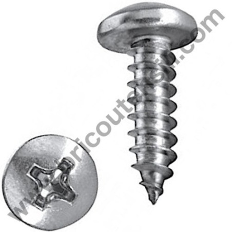 Self-Thread Screw 4x10 for Chainsaw Alpina P 660