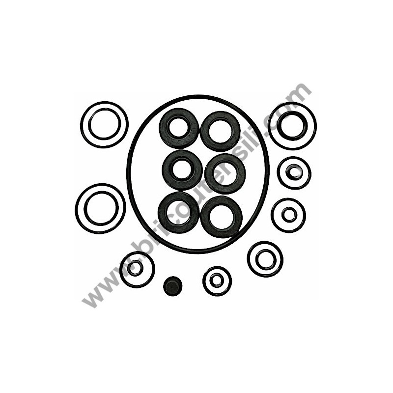 Wear and Tear Part Set for Pressure Cleaner Bosch GHP 5-55