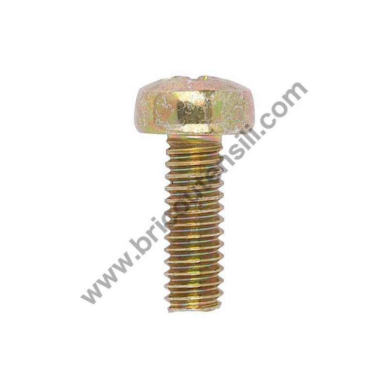 Screw 5x30 for Hedge Trimmer Tanaka THT 210