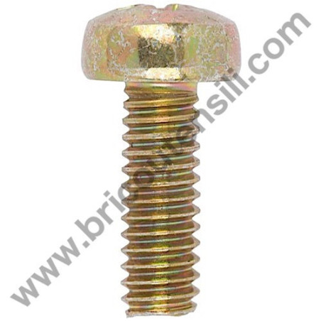 Screw 5x30 for Hedge Trimmer Tanaka THT 210