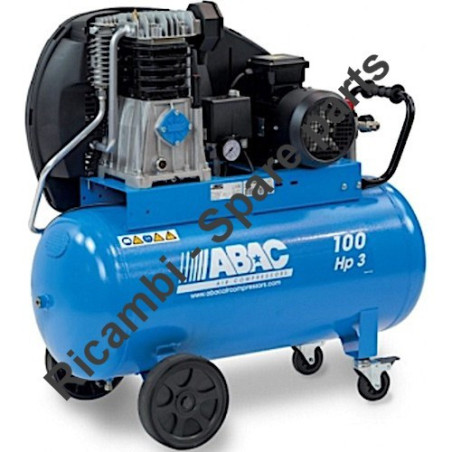 Ricambi per Compressore ABAC PRO A49B 100 CT3 NS31
