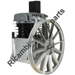 Gruppo Pompante per Compressore a Cinghia A29B BLU