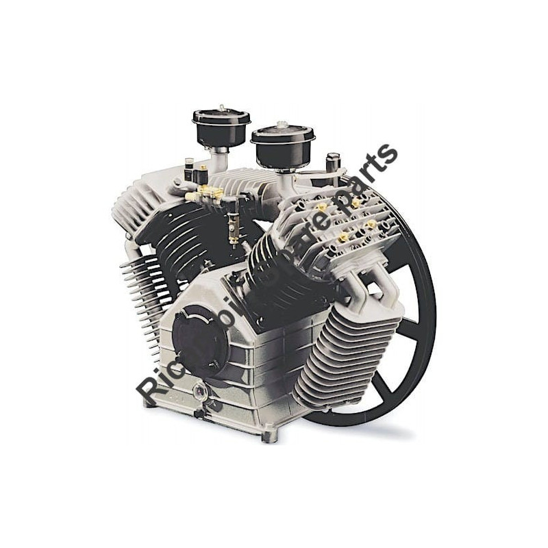 Gruppo Pompante per Compressore a Cinghia A29B BLU