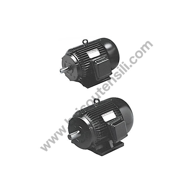 Gruppo Pompante per Compressore a Cinghia A29B BLU