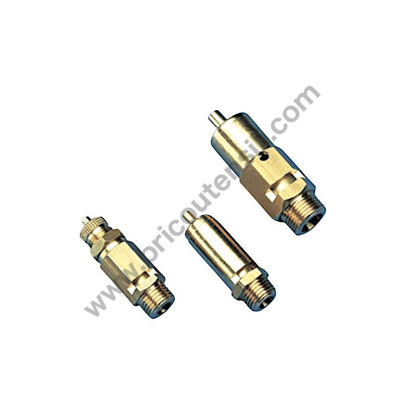 ABAC Pump Units Safety Valves