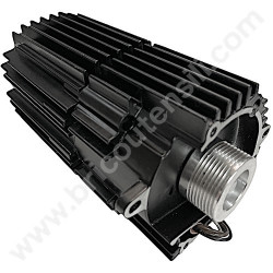 Motor Assembly for Mitre Saw FEMI 911