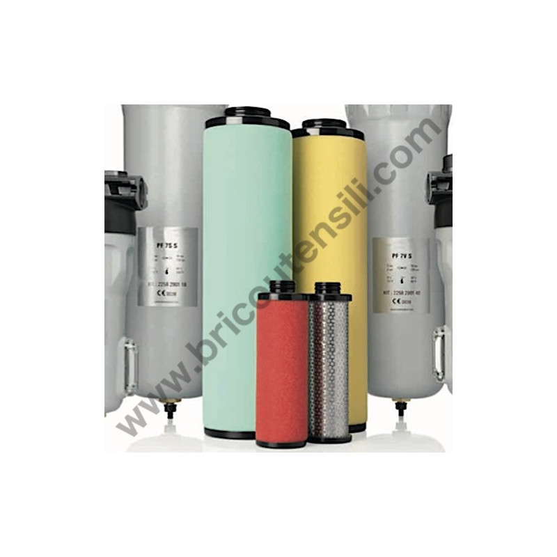 Gruppo Pompante per Compressore a Cinghia A29B BLU