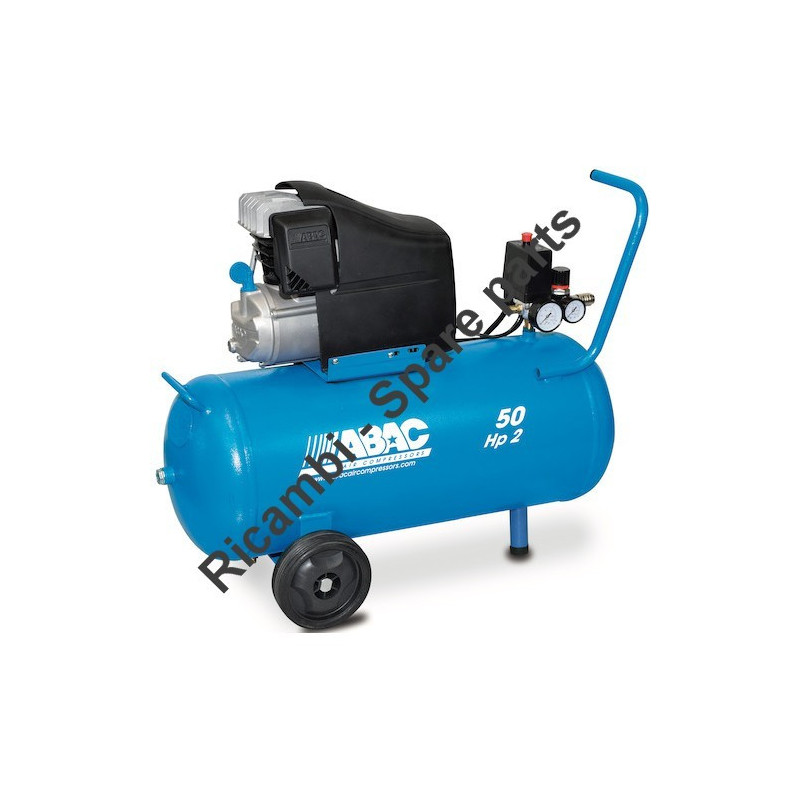 Ricambi ABAC per Compressore 50 Lt Montecarlo L20