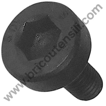 Vite Registro Coltelli per Pialle Filo Spessore Femi 