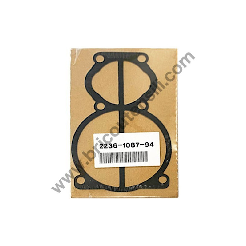 Gruppo Pompante per Compressore a Cinghia A29B BLU