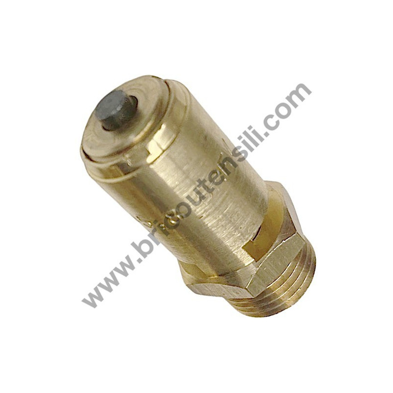 ABAC Pressure Relief Safety Valve 1/4" 4.5 BAR for Pump Unit B4900