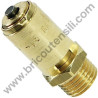 ABAC Pressure Relief Safety Valve 1/4" 4.5 BAR for Pump Unit B4900