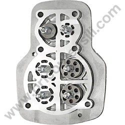 Gruppo Pompante per Compressore a Cinghia A29B BLU