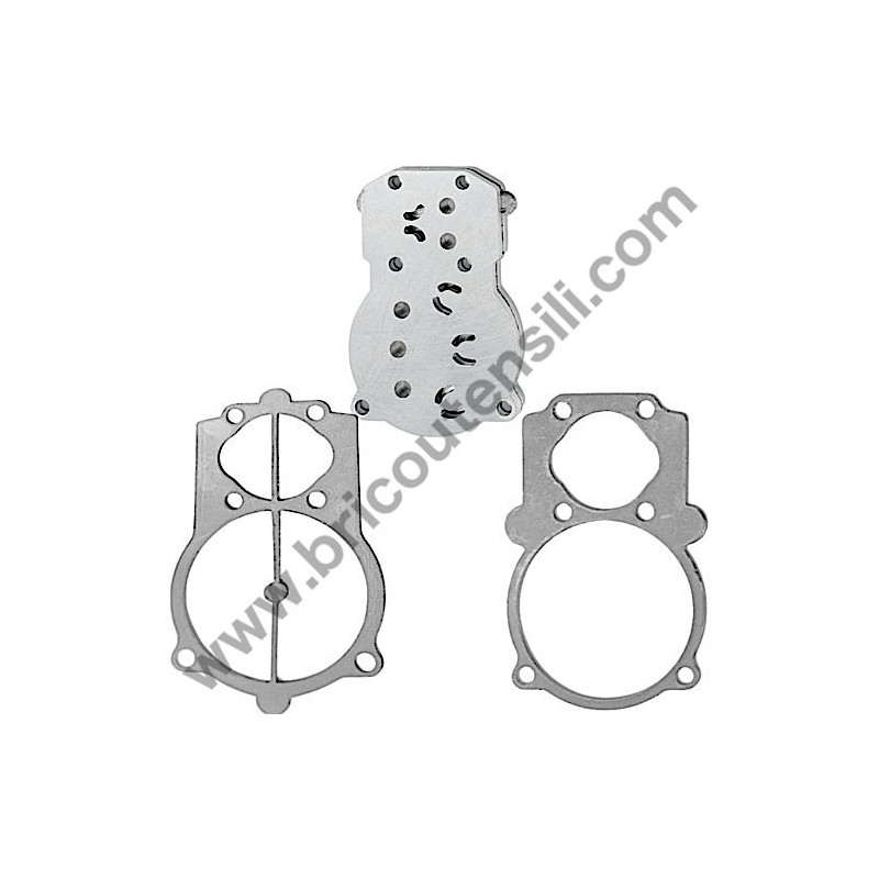Valve Plate + Gasket Kit for Pump Unit ABAC B5900